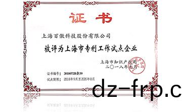 上海市專(zhuan)利(li)工(gong)作(zuo)試(shi)點企業(ye)